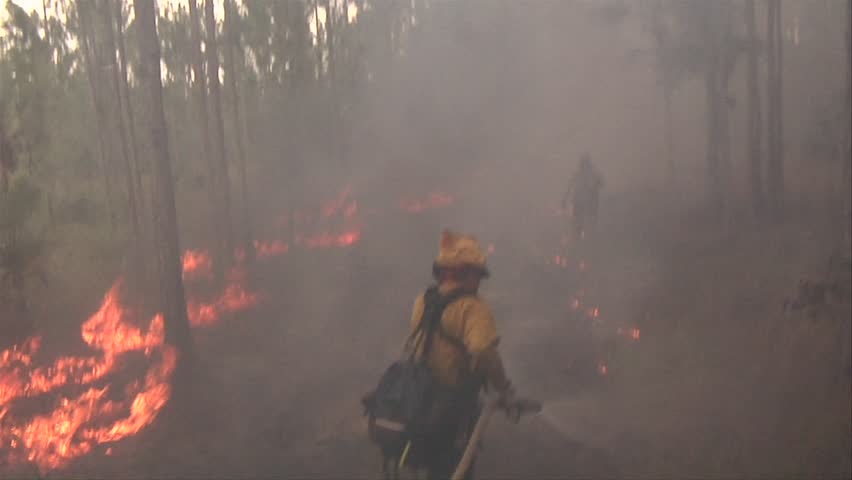 Wildland firefighters work to put out a fire in the Florida Everglades