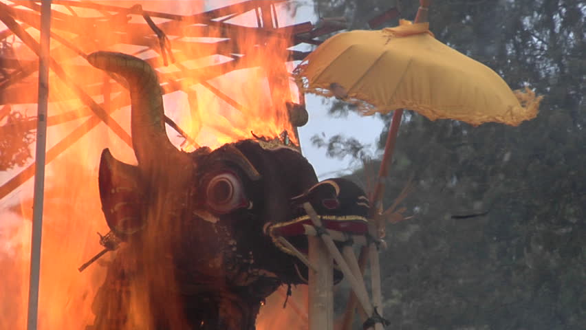 The sarcophagus burns in an Indonesian cremation ceremony
