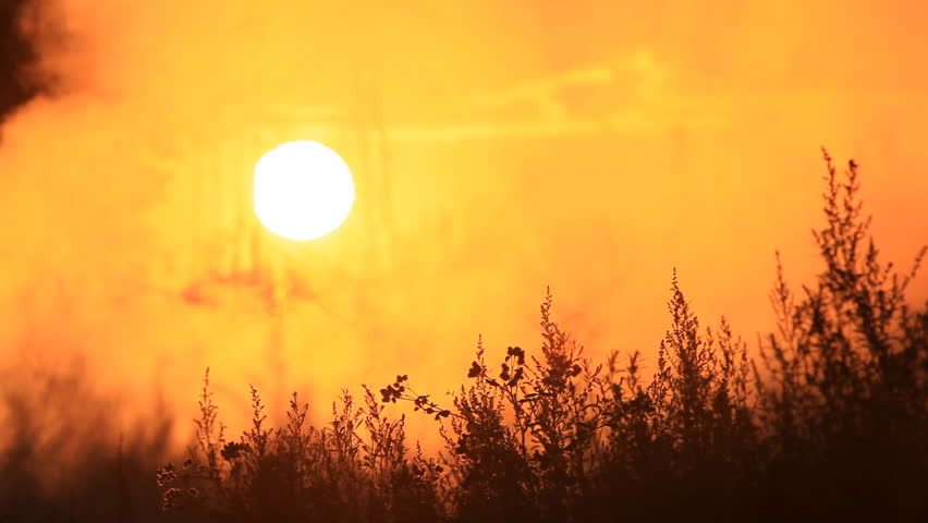 Smoke. grass. sunrise