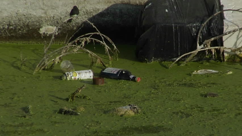 Garbage floats in a waterway full of algae.