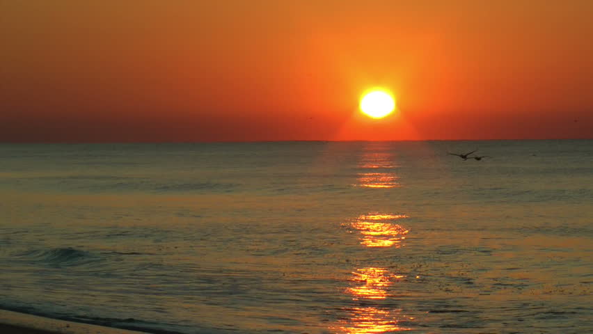 two birds fly across the rays of a beautiful ocean sunrise