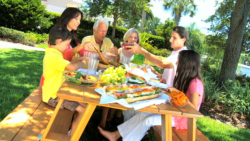 outdoor family picnic