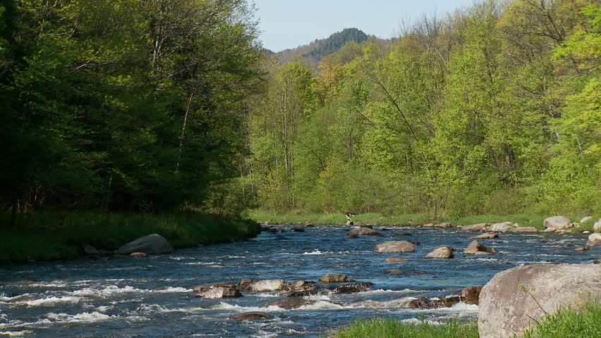 Rocky river in springtime forest
