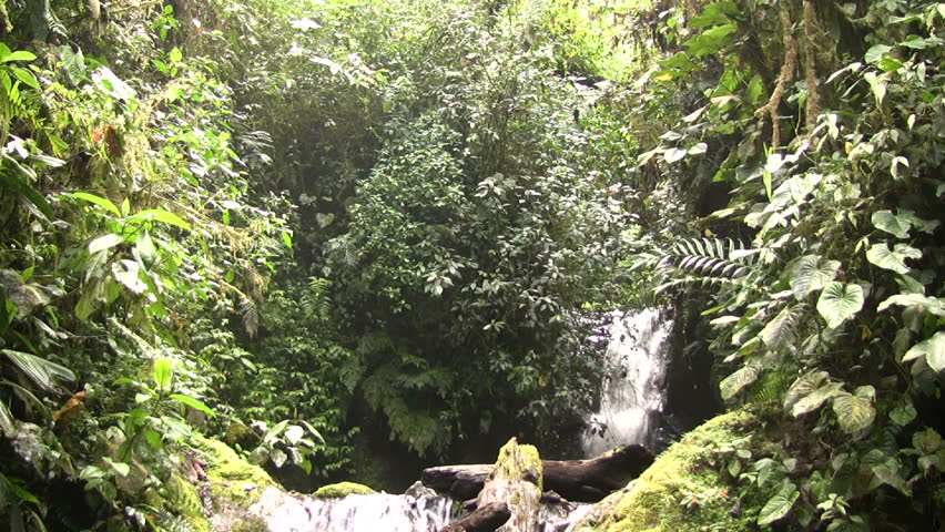 Waterfall in the Nambillo Valley, near Mindo, Ecuador
