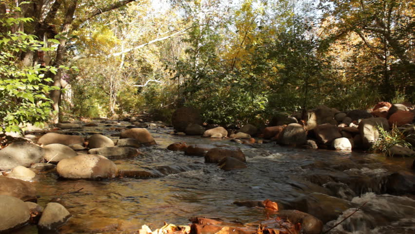 The chilly, autumn waters of Oak Creek rush past as the fall colors reflect in the stream in Sedona, Arizona.