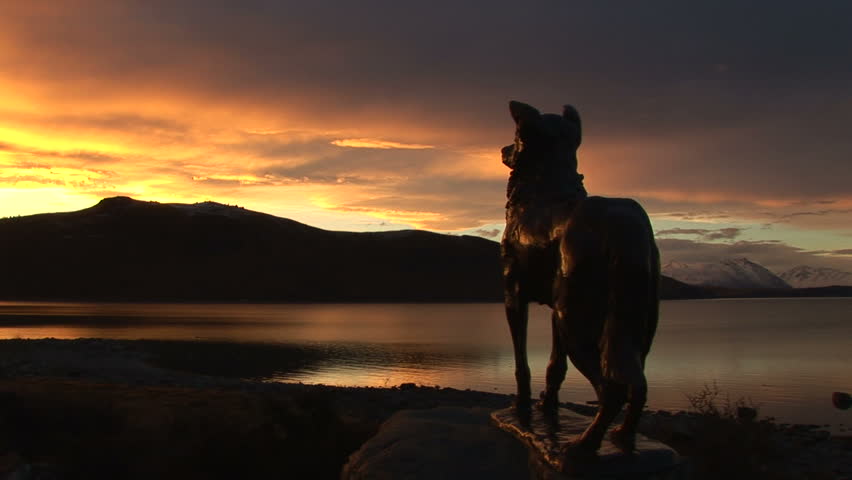 Bronze sheepdog statue against lake during sunset