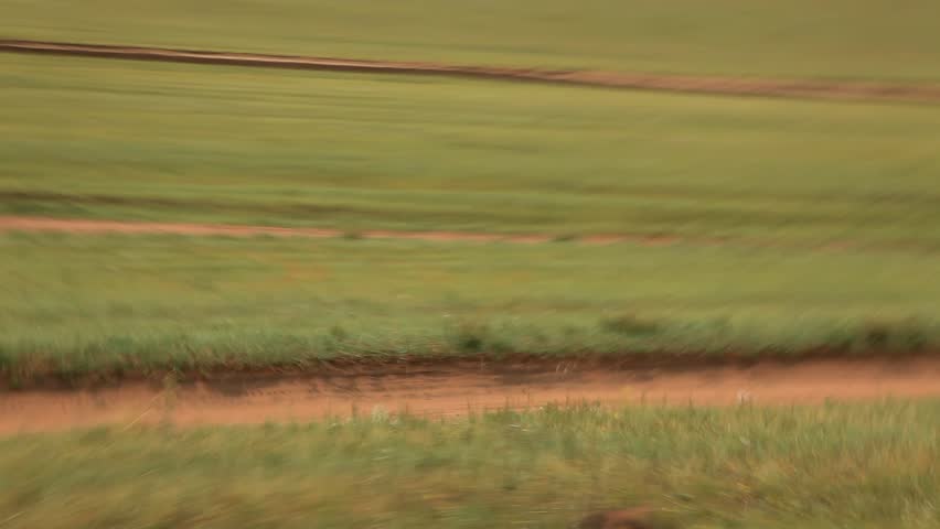 Header of alongside