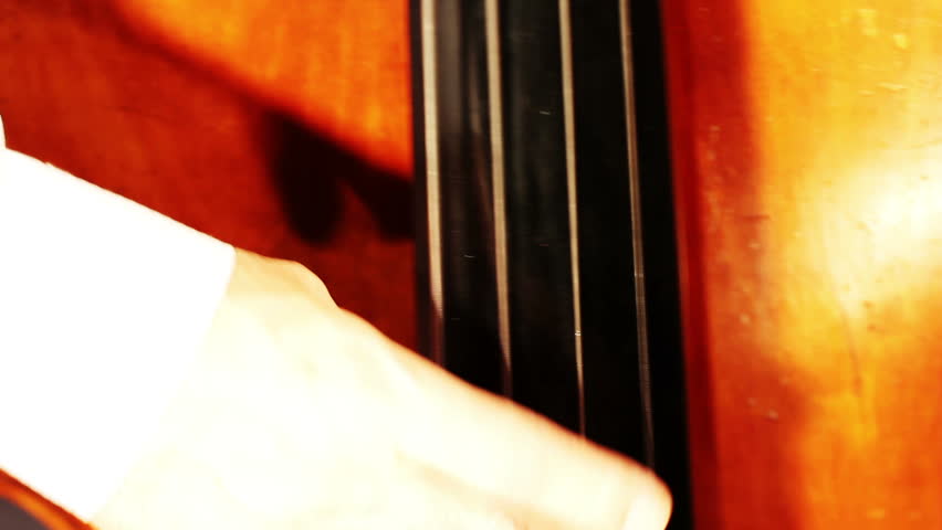 Musician and Double Bass playing jazz closeup