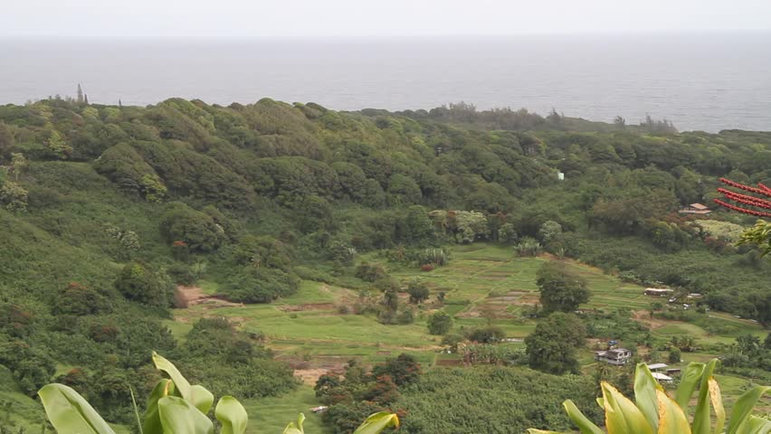 Ke'anae Maui village where native foods such a poi are grown in shallow ponds. This is just off the Hana Highway