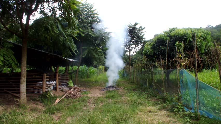 Burning rubbish on the green grass 
