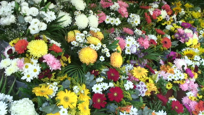 Clip shot in the flower market of Rio de Janeiro / Brazil.
