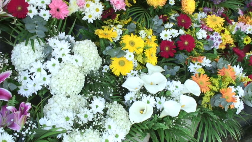 Clip shot in the flower market of Rio de Janeiro / Brazil.