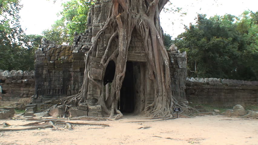 Large tree roots cover a temple at Ta Prohm