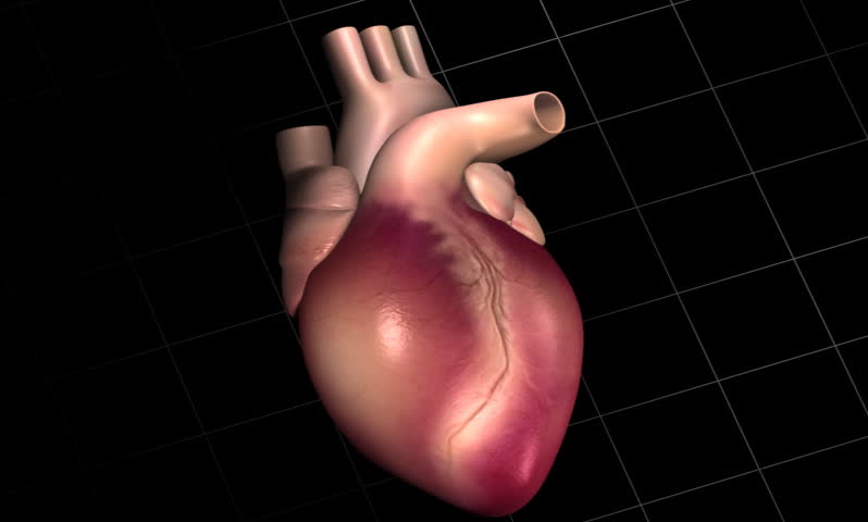 footage of a human heart with eco cardio gram pulse