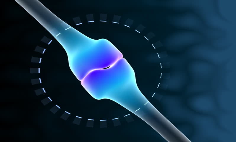 footage of a human leg bone joint in blue background