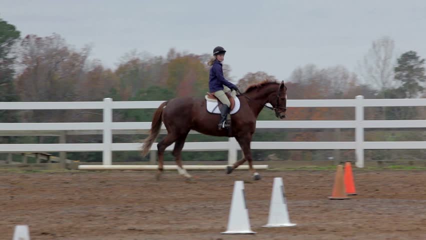 Teen girl on a brown horse riding in an arena receives instruction during a lesson.