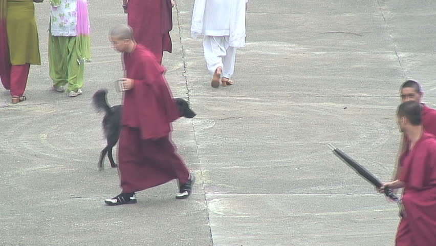 MCLEOD GANJ, INDIA - AUGUST 24, 2006:  Dog and Tibetan Monks in Plaza, India