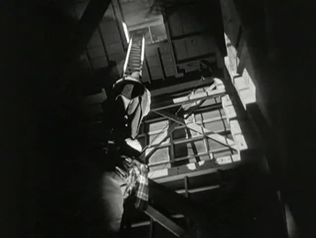 Two men climbing up shaky ladder