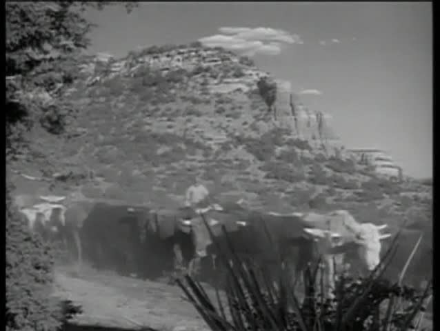 Cowboys herding cattle through desert plains