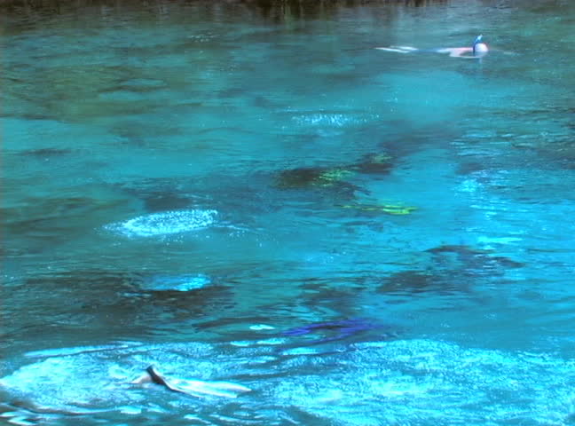 Divers and snorkelers explore the cave at Devil's Eye at Ginnie Springs Resort in High Springs, Florida.
