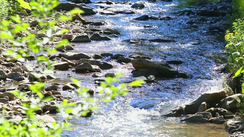 Beautiful Nature Sounds