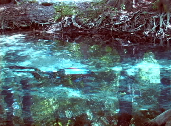 A scuba diver takes a leisurely swim up the spring run at Ginnie Springs in High Springs, Florida.