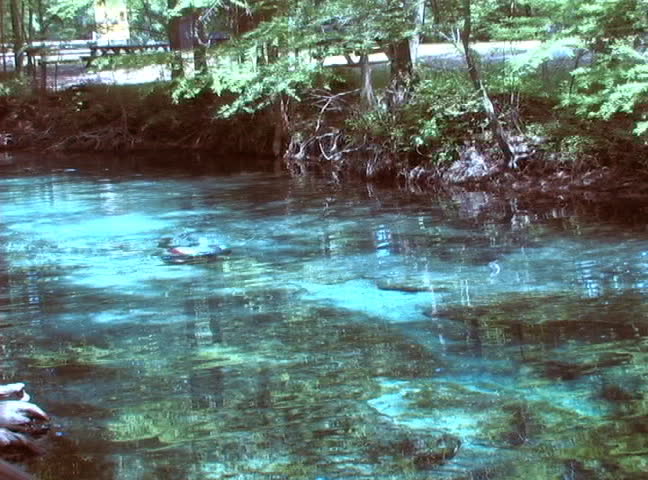 A scuba diver swims slowly up the spring run at Ginnie Spring in High Springs, Florida.