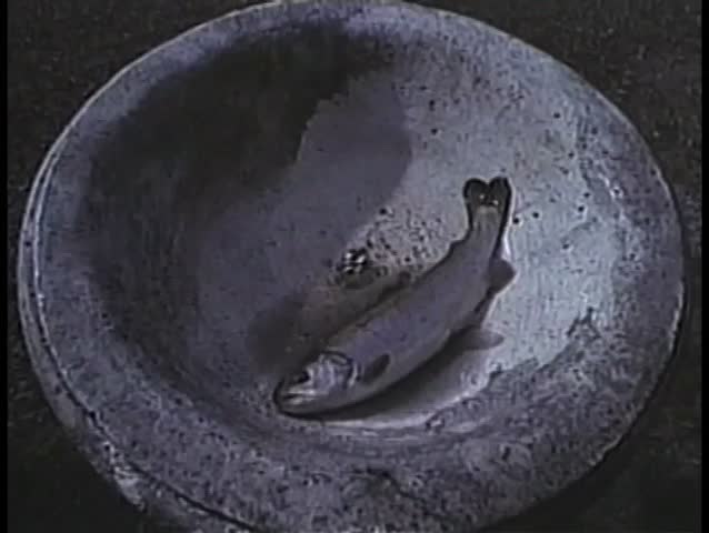 Fish dying in stone bowl with no water