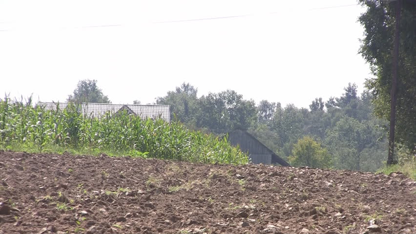 Plowed soil, wide shot.