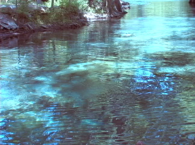 Scuba divers swim up the spring run at Ginnie Springs in High Springs, Florida.