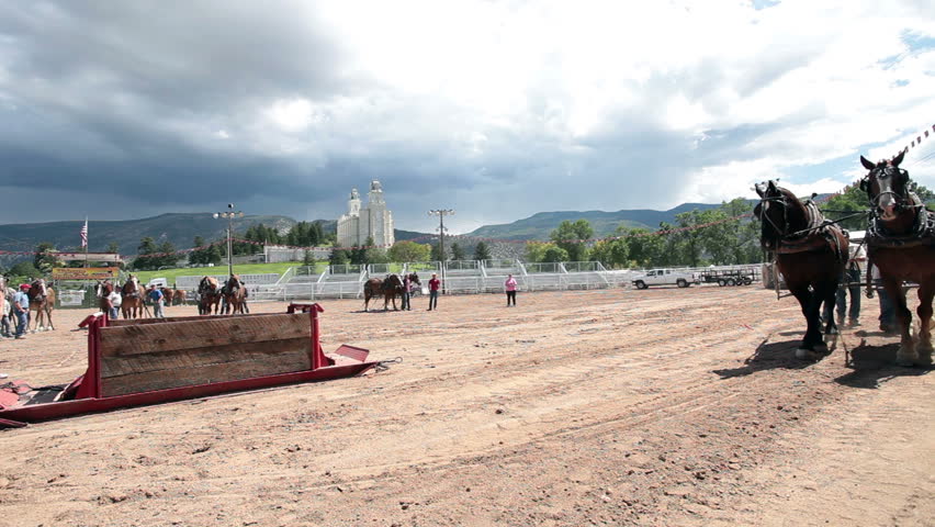 MANTI, UTAH - AUG 27: Horse pulling competition at local county fair with draft horses dragging a heavy sled on a long run on August 27, 2011 in Manti Utah. 