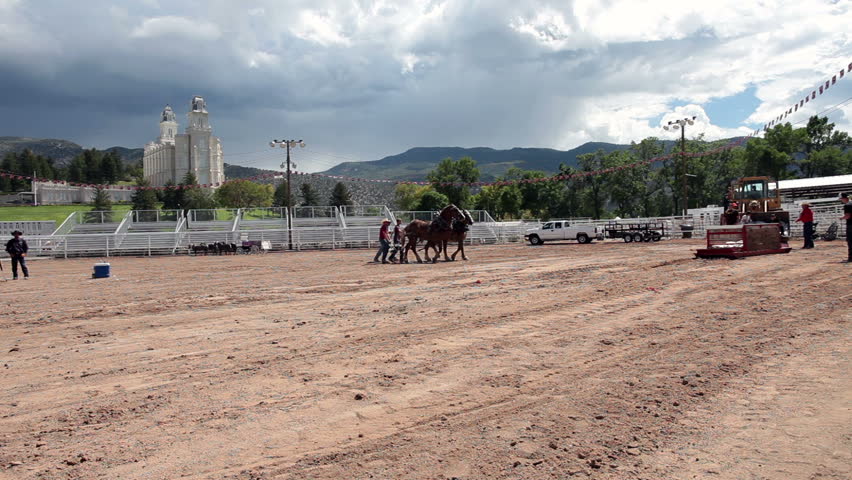 Draft Horse pulling competition at local county fair with Mormon Temple in background on August 27, 2011 in Manti, Utah.