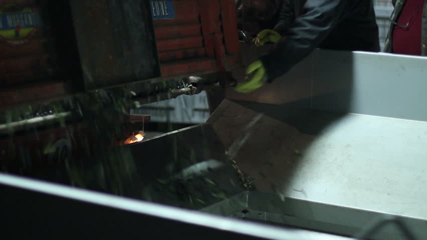 Oil mill - olive oil production - Series