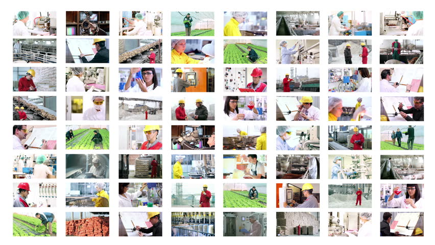 People at Work. Collage of video clips showing people of different professions at work. HD1080p.