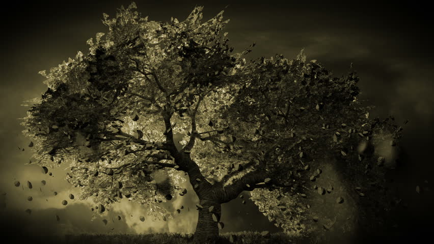 Mysterious Cherry Blossoms Tree cartoony 3D render