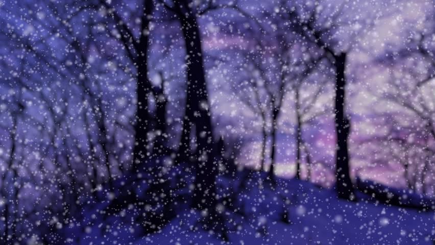 snowfall.withered trees are out of focus.