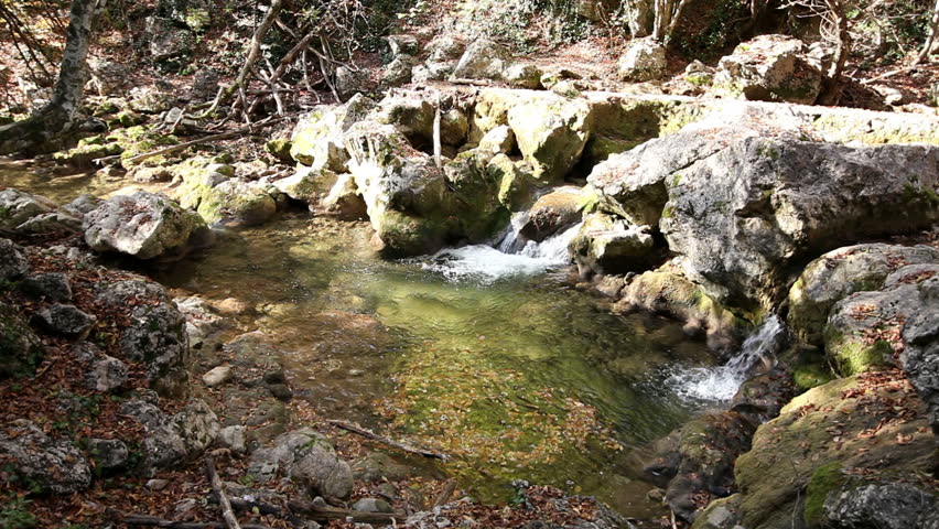 Channel of a stream in a rock with water stream and the fallen down leaves ashore