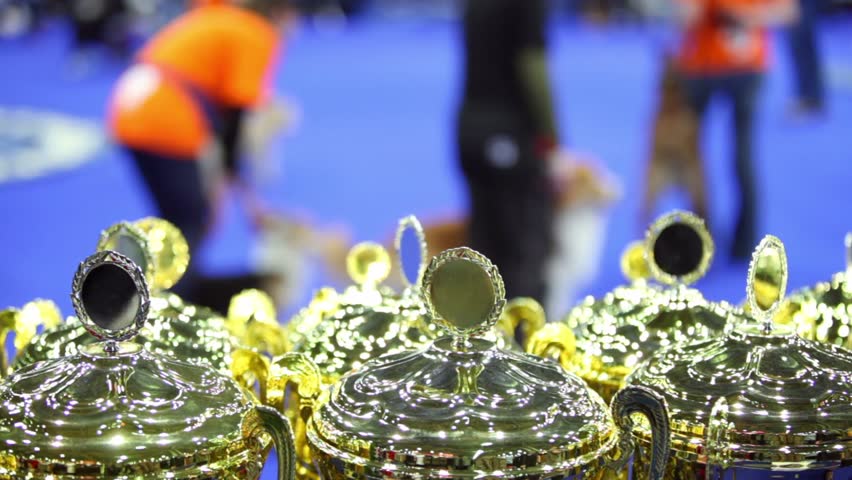 Few prize cups at unfocused background with people and their dogs at contest