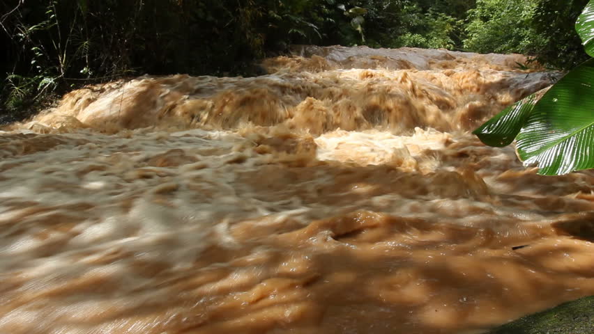 Mud and water pouring down a jungle watercourse after very heavy rain. On the Pacific coast of Ecuador.