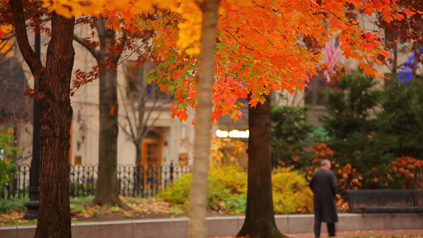 Walking pedestrians with assorted flora in front of a building in downtown Boston, MA