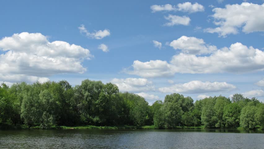 sunny pond time lapse
