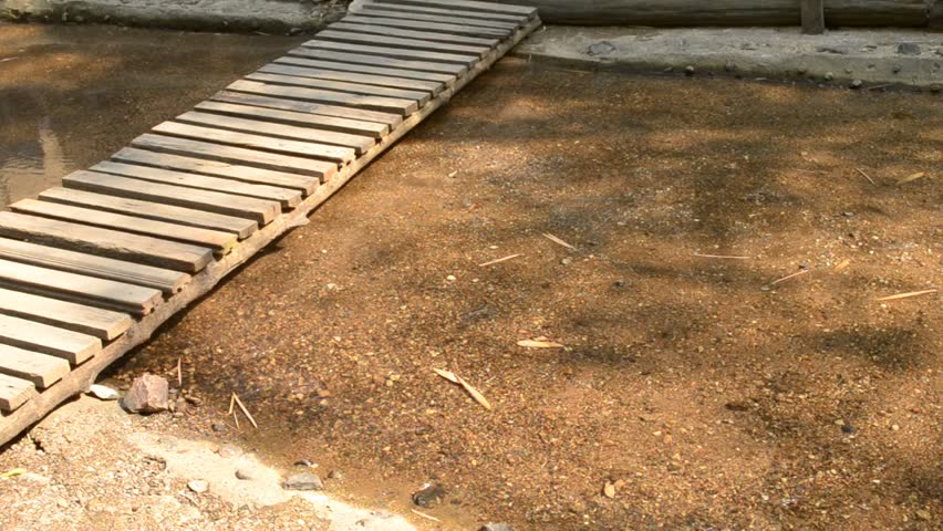 Stream Water