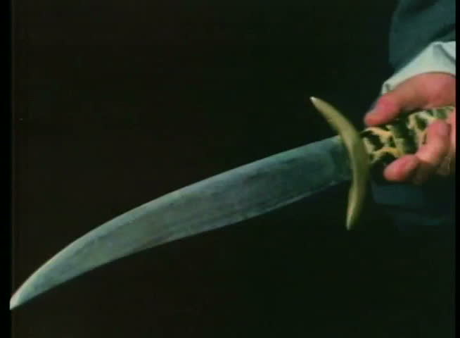 Close-up of hand holding saber