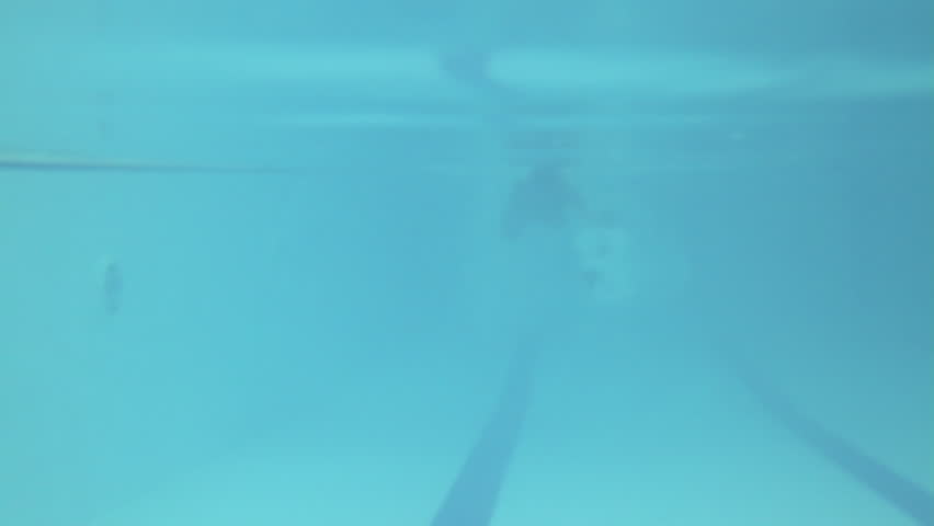 Male swimming in swimming pool in gym
