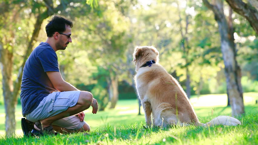 Dog and his owner in the park doing shake