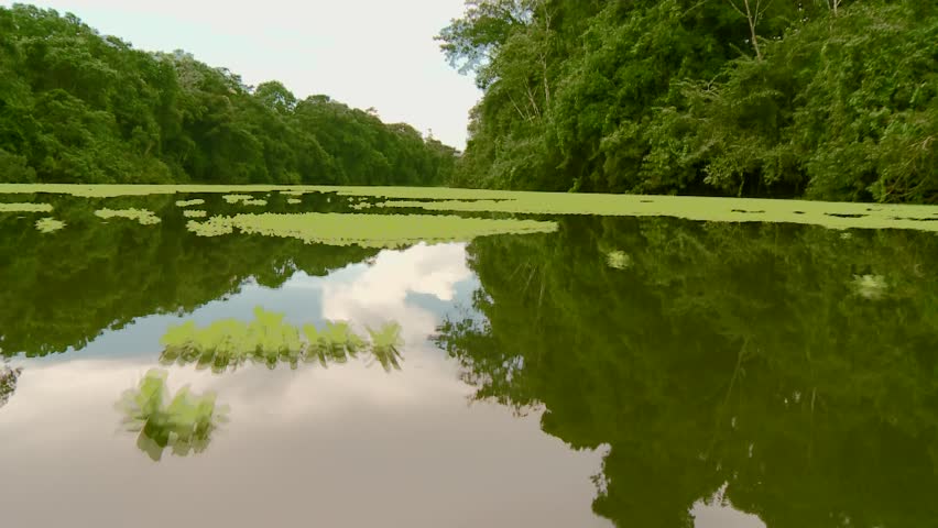 Video Footage Of A Boat Trip At the amazon river in southamerica, peru
