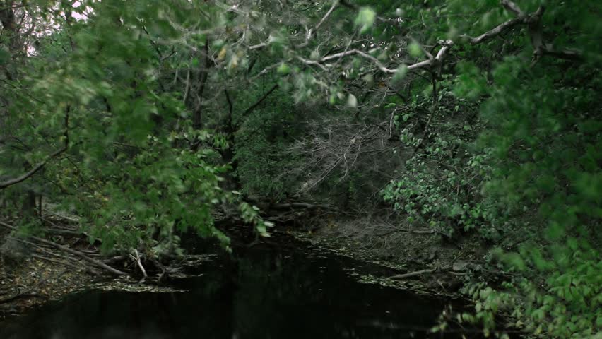 Timelapse tilt down of river with autumn leaves morphing.