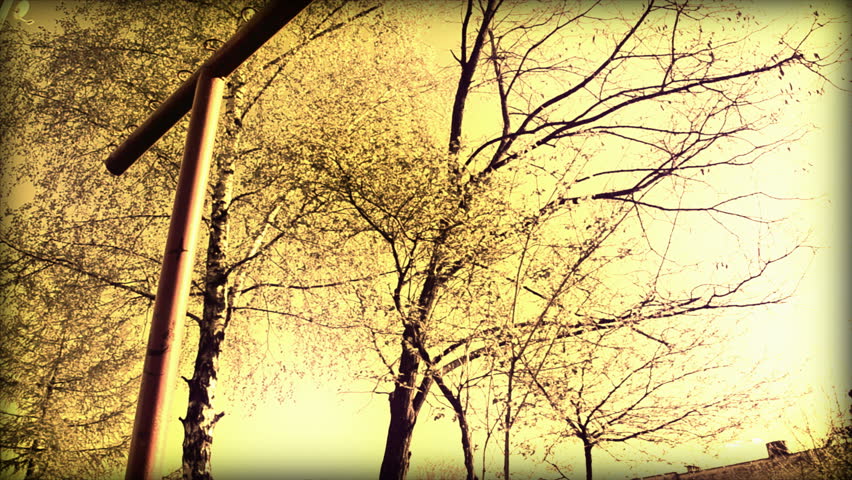 a little boy swinging on an old swing, in the background - trees and sky. Imitation of old film