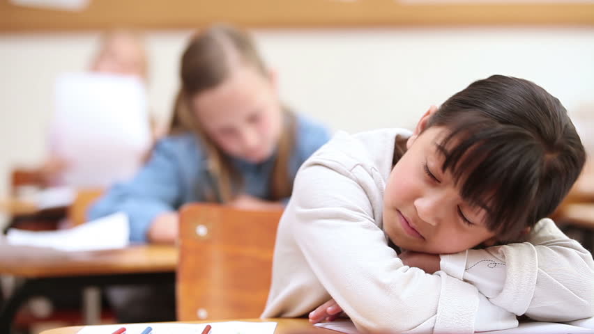 Cute pupil sleeping in the classroom