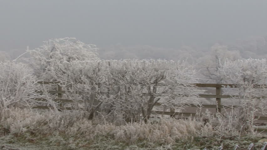 Severe frost - pan along hedgerow. HD